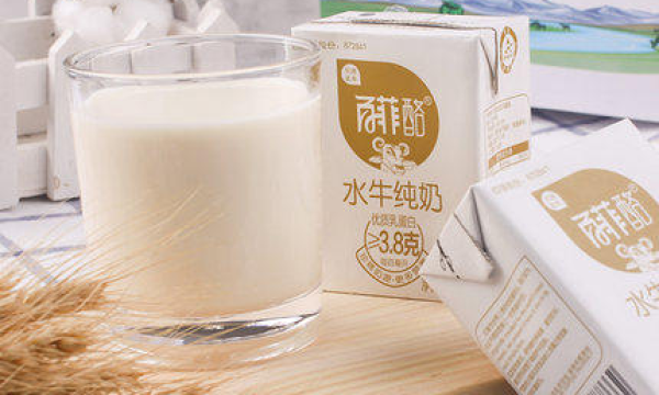 百菲乳业-深耕水牛奶行业 持续发展